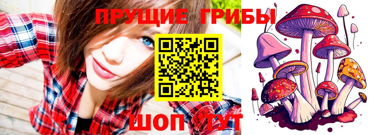 Псилоцибиновые грибы Psilocybine cubensis  Вход с VPN  Красногорск  закладка  Галлюциногенные грибы ЛСД 