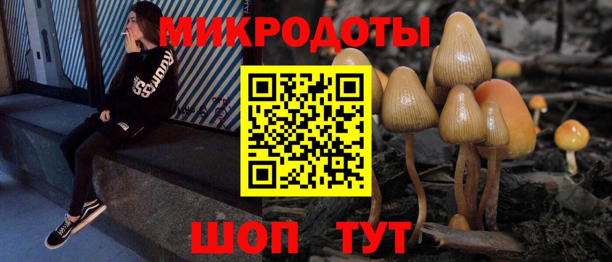 Псилоцибиновые грибы Cubensis Красногорск